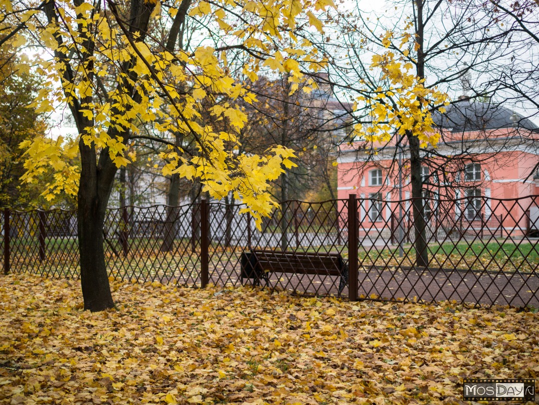 Сочинение по теме Экотропа в Воронцовском парке г. Москвы
