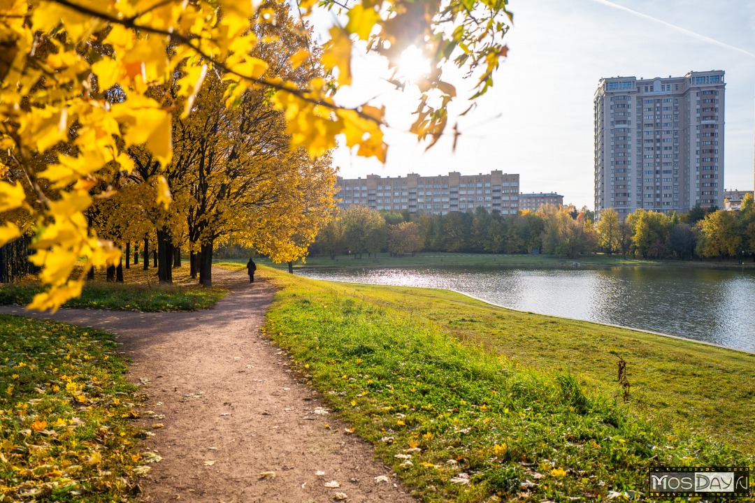 Москва Золотая Осень Фото 2022 Года