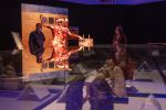  Body Worlds.  - . 119  .21.     Body Worlds  .      ' ' (Body Worlds)        .   ,      .